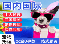阿鲁科尔沁空运国际宠物托运 【国